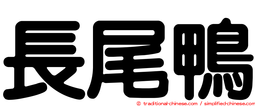長尾鴨