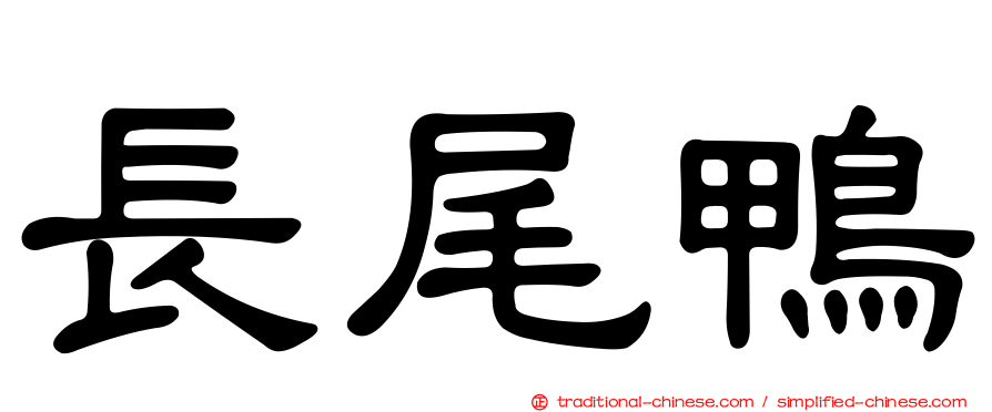 長尾鴨