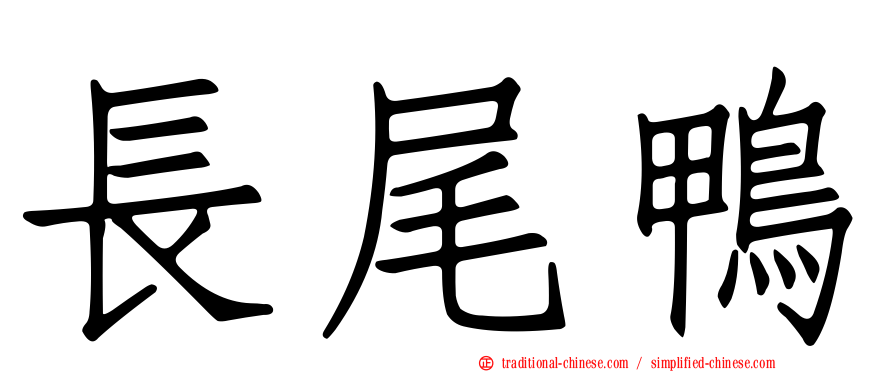 長尾鴨