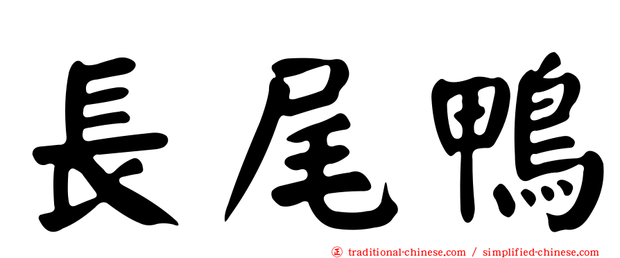 長尾鴨