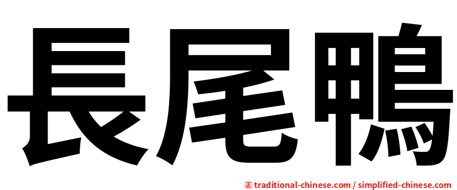 長尾鴨