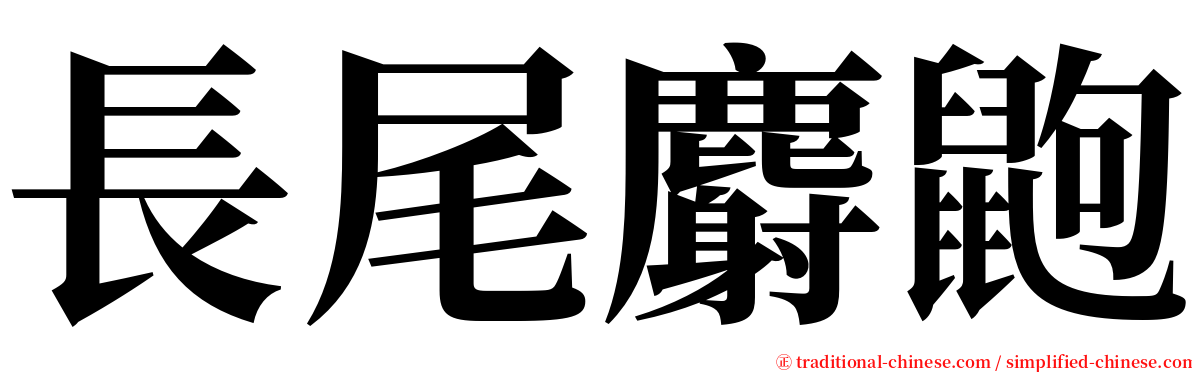 長尾麝鼩 serif font