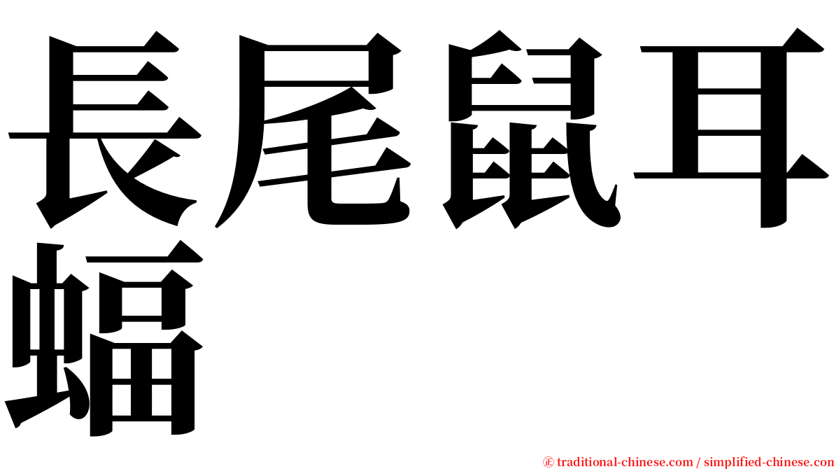 長尾鼠耳蝠 serif font