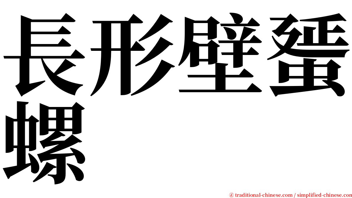 長形壁蜑螺 serif font