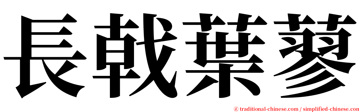 長戟葉蓼 serif font