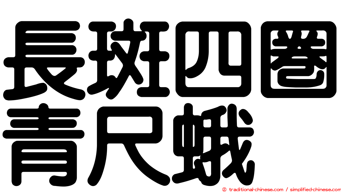 長斑四圈青尺蛾