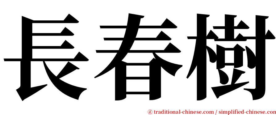 長春樹 serif font