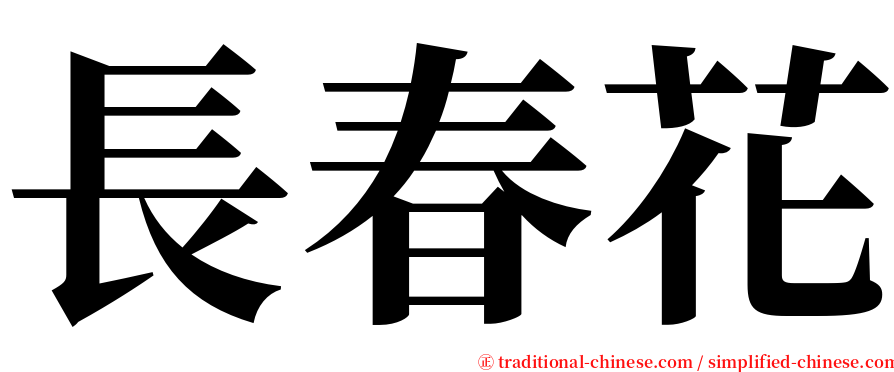 長春花 serif font