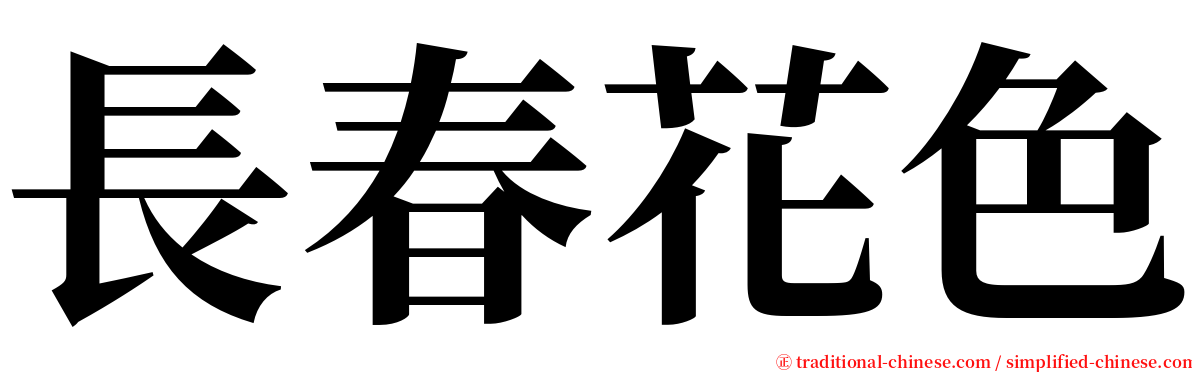 長春花色 serif font