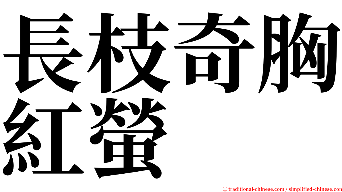長枝奇胸紅螢 serif font