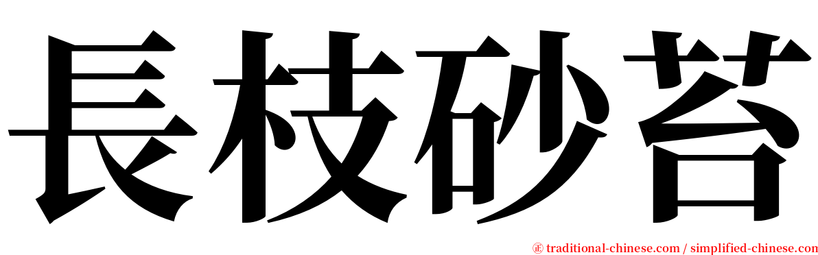 長枝砂苔 serif font