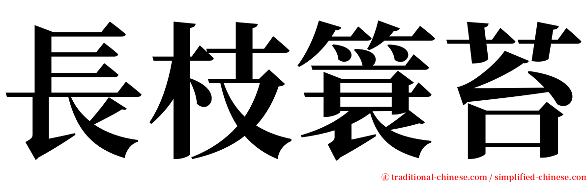 長枝簑苔 serif font