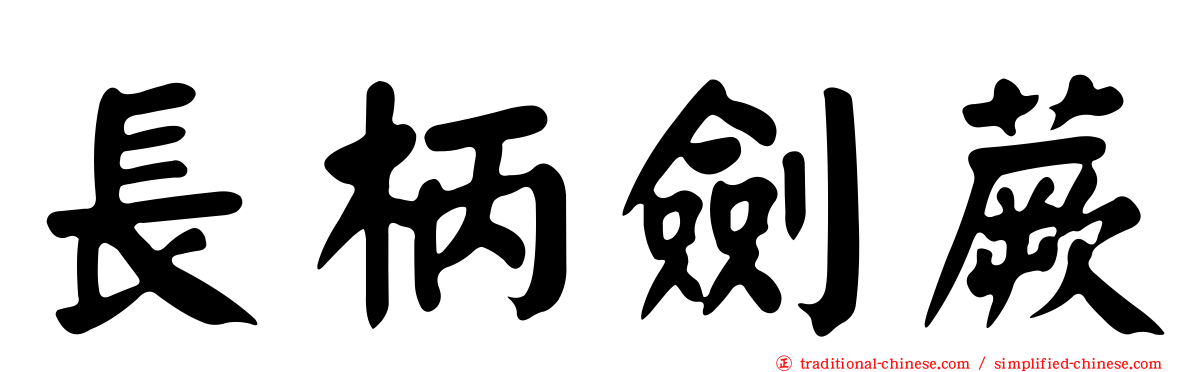 長柄劍蕨