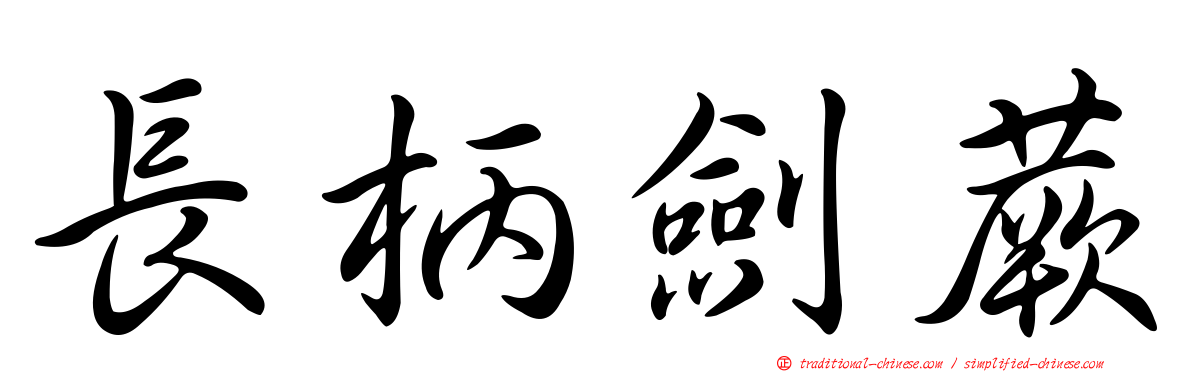 長柄劍蕨