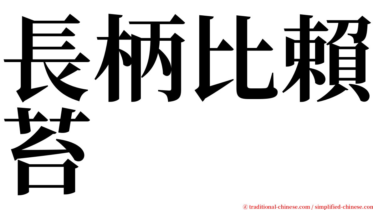 長柄比賴苔 serif font