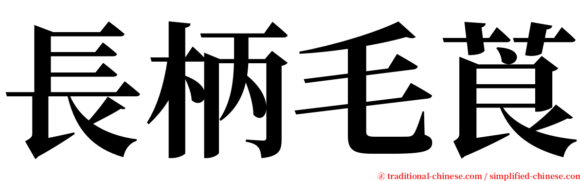 長柄毛莨 serif font