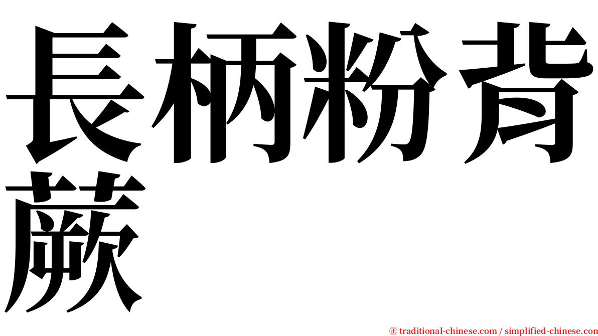 長柄粉背蕨 serif font