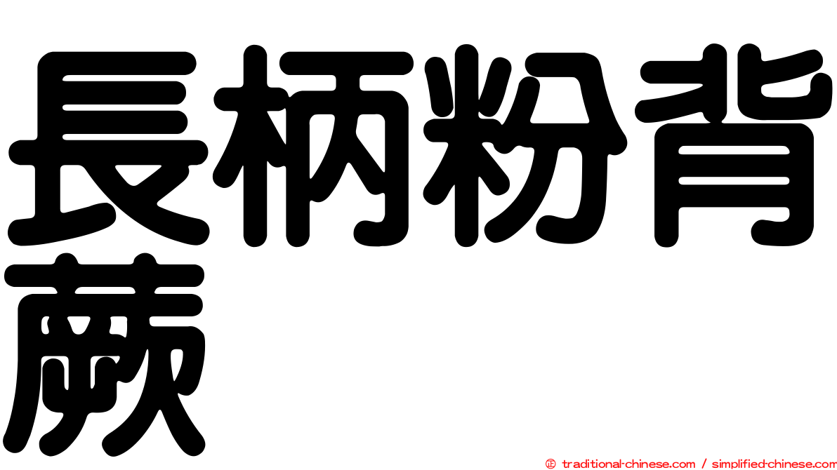 長柄粉背蕨
