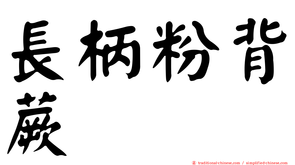 長柄粉背蕨
