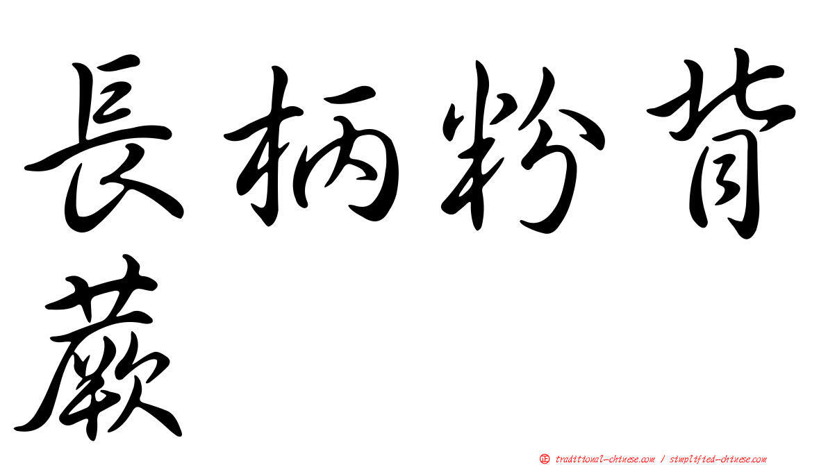 長柄粉背蕨