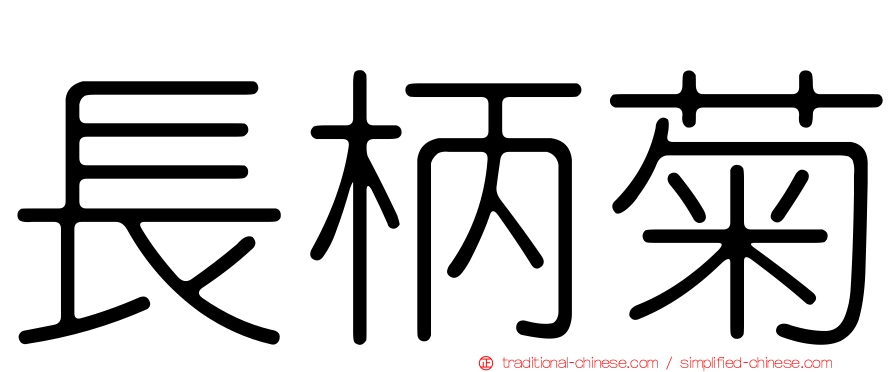 長柄菊