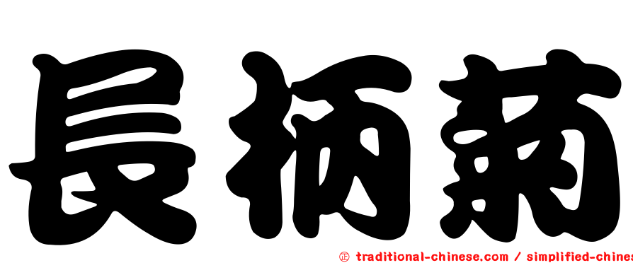 長柄菊