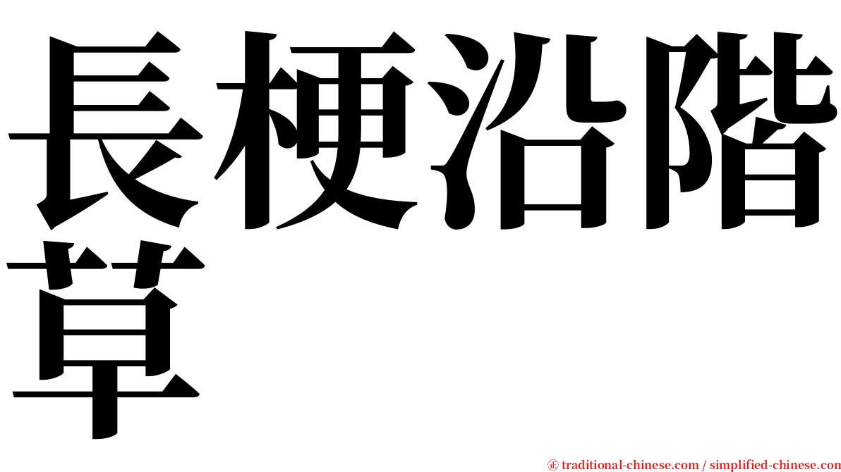 長梗沿階草 serif font