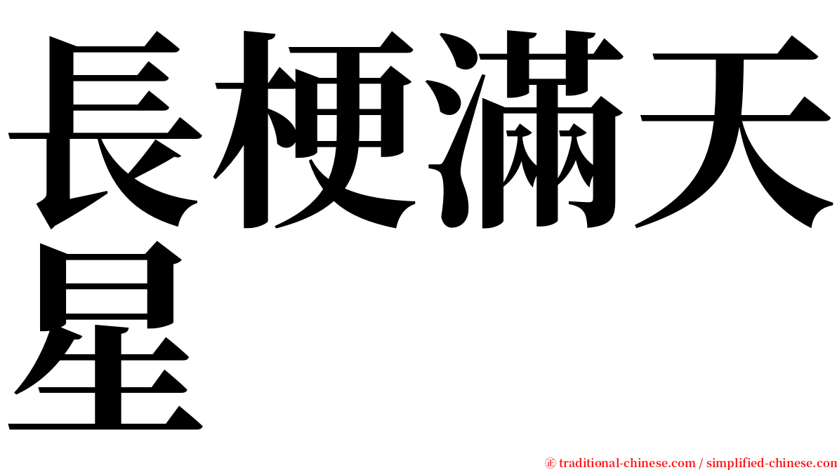 長梗滿天星 serif font