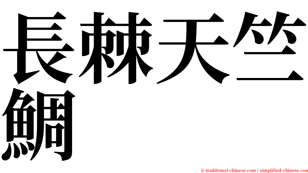 長棘天竺鯛 serif font