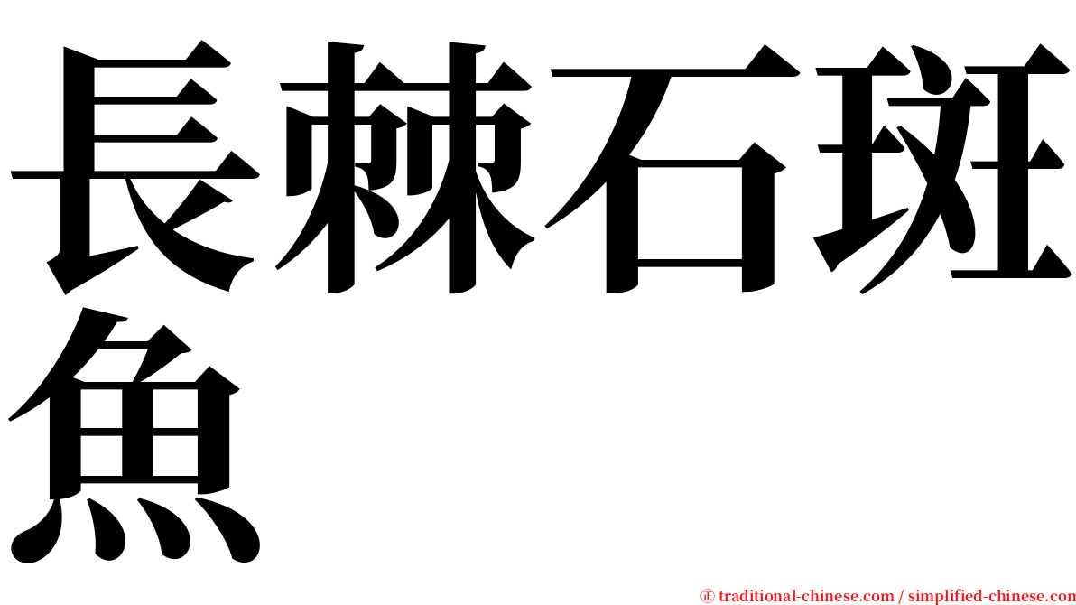 長棘石斑魚 serif font