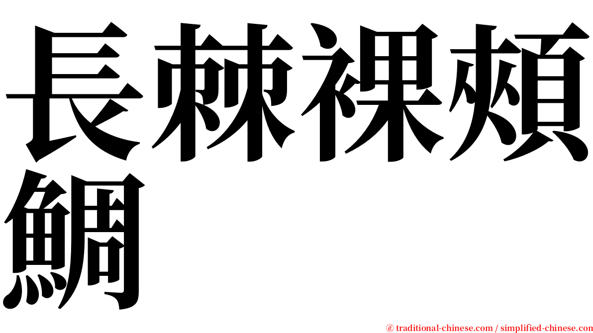 長棘裸頰鯛 serif font