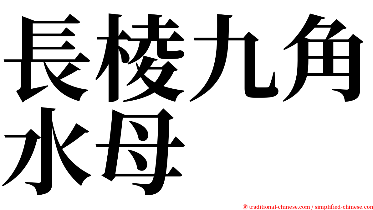 長棱九角水母 serif font