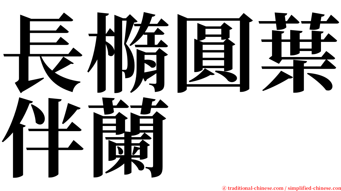 長橢圓葉伴蘭 serif font