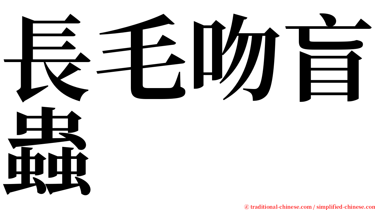 長毛吻盲蟲 serif font