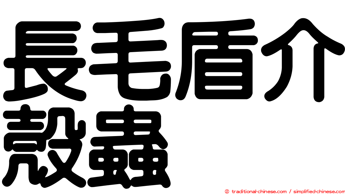 長毛盾介殼蟲