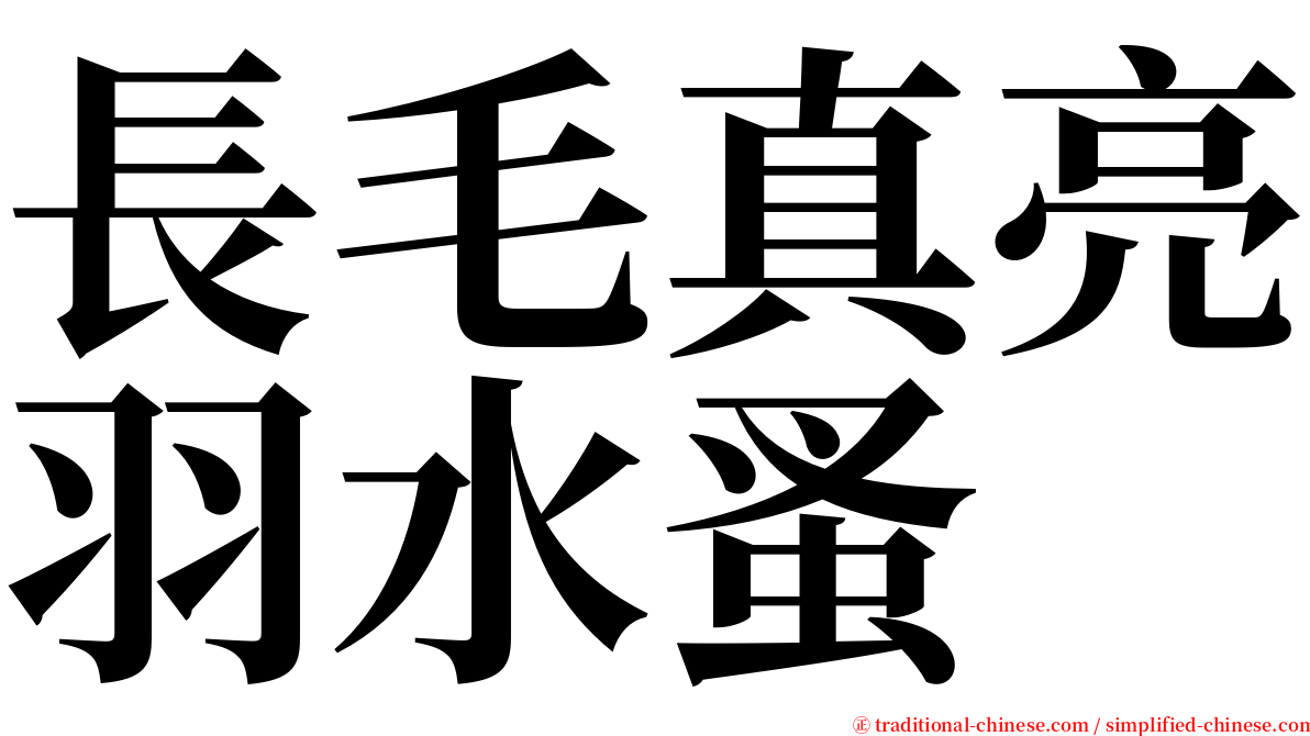 長毛真亮羽水蚤 serif font