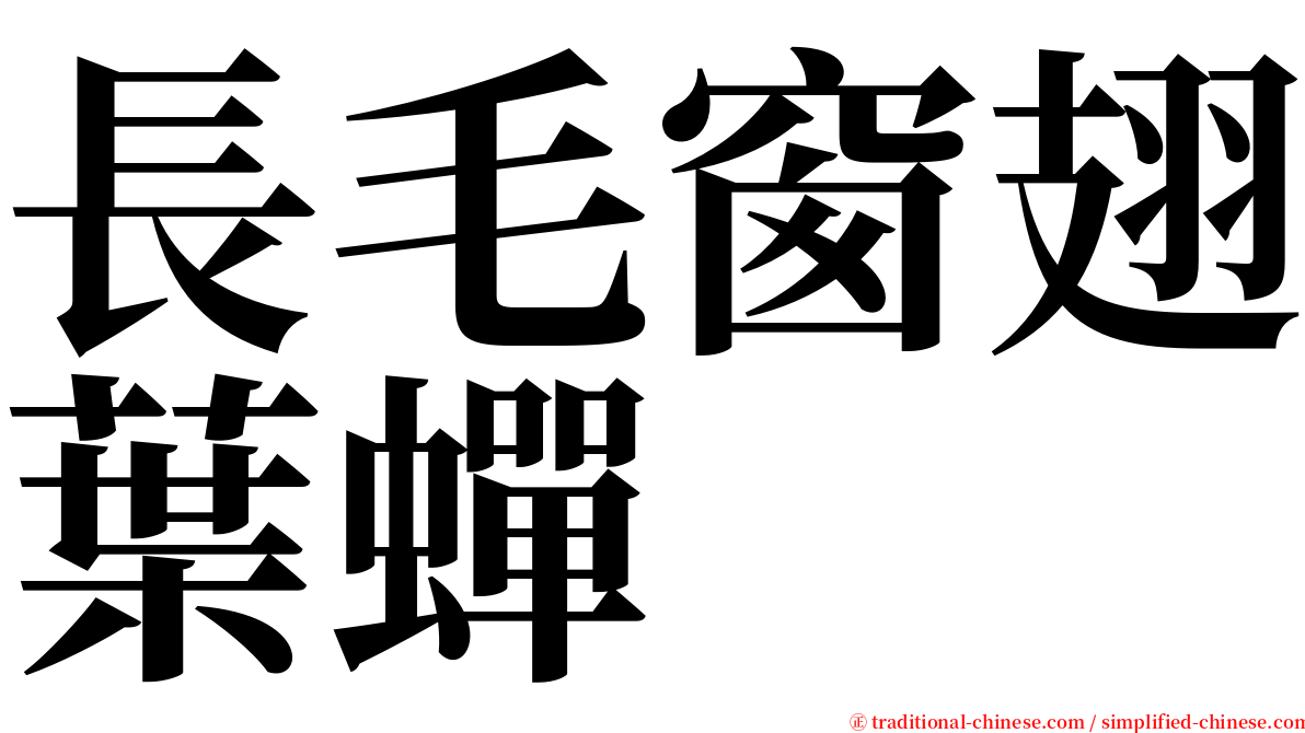 長毛窗翅葉蟬 serif font