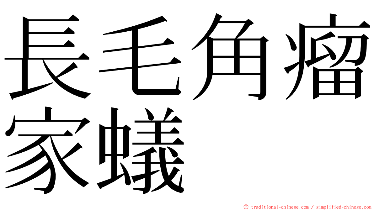 長毛角瘤家蟻 ming font