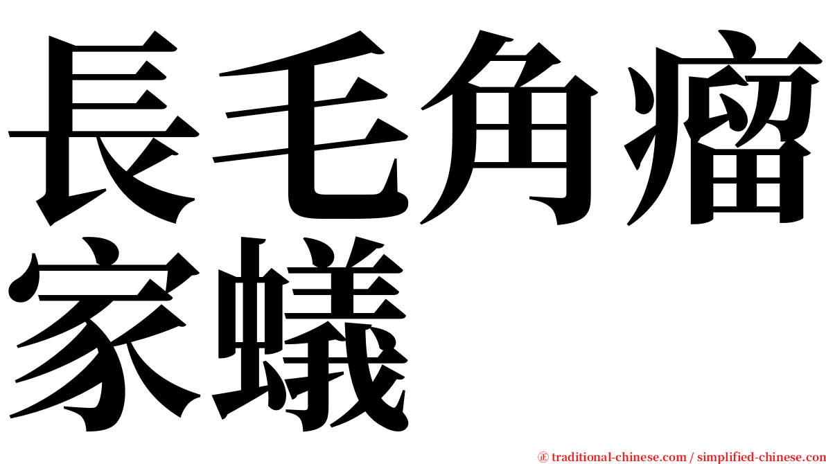 長毛角瘤家蟻 serif font