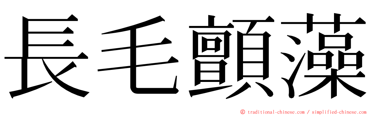 長毛顫藻 ming font