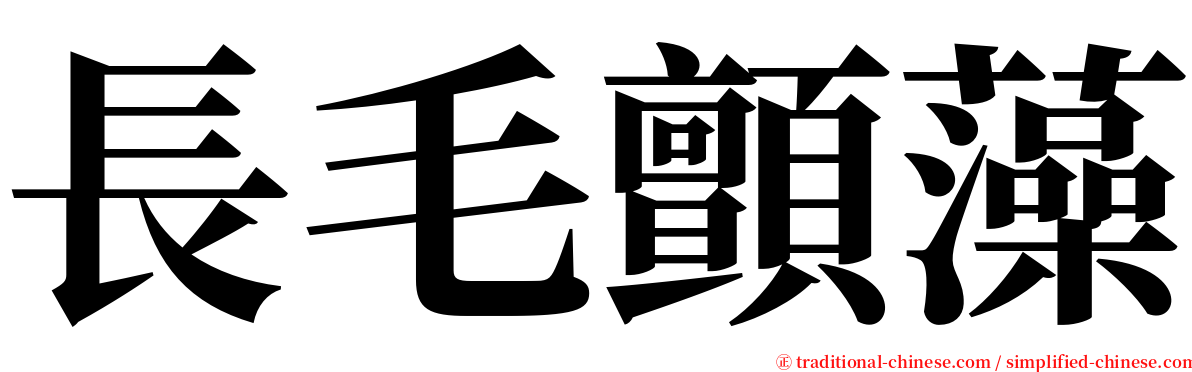 長毛顫藻 serif font