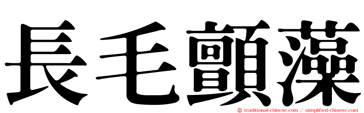 長毛顫藻
