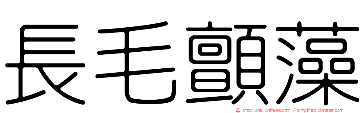 長毛顫藻