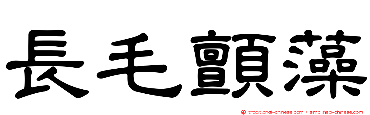 長毛顫藻