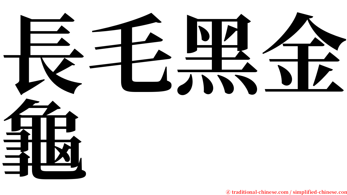 長毛黑金龜 serif font