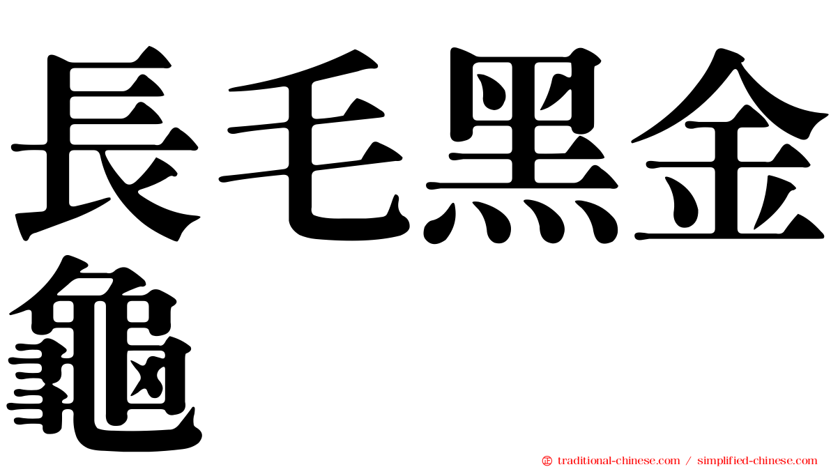 長毛黑金龜