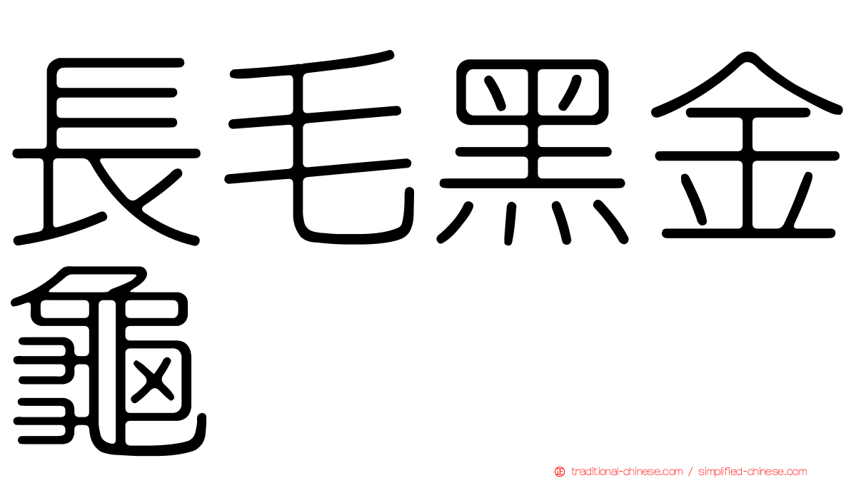 長毛黑金龜