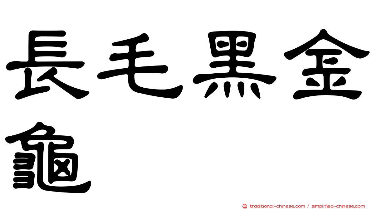 長毛黑金龜