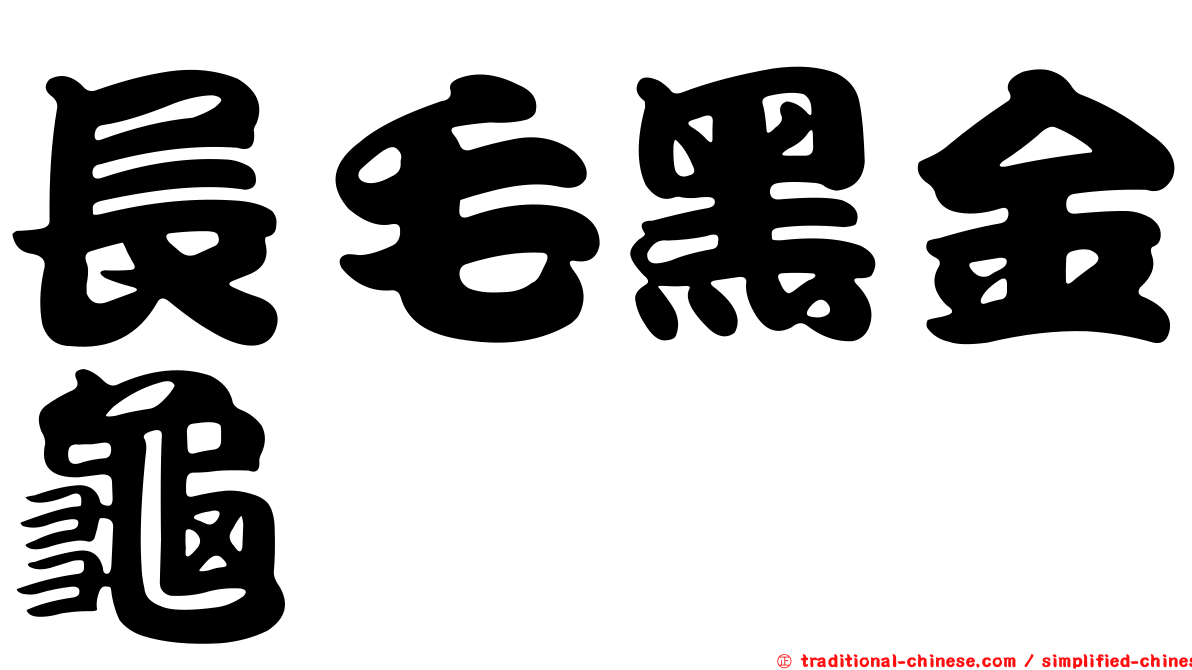 長毛黑金龜