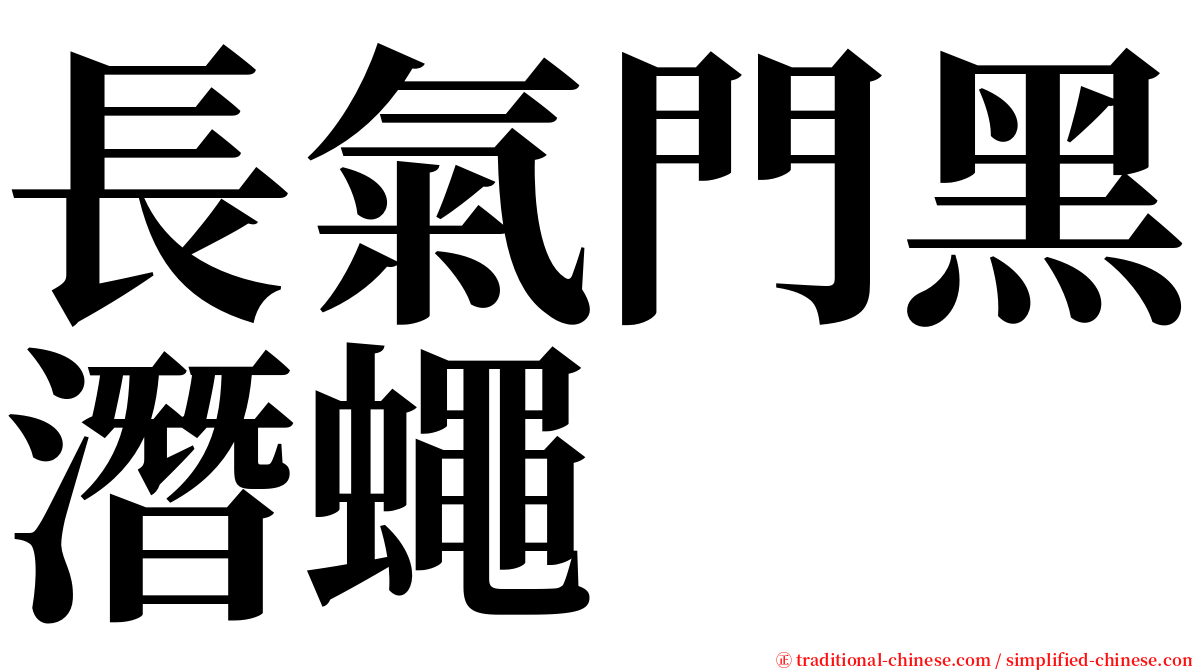 長氣門黑潛蠅 serif font